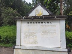 -莫里热带雨林景区
