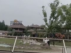-上海野生动物园