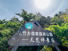 -江南天池