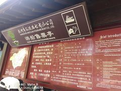 -西湖游船