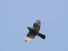 -苏州河梦清园环保主题公园