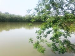 -苏州太湖国家湿地公园