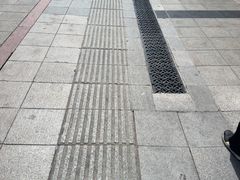 -必点海鲜·海肠捞饭·鲅鱼水饺(滨江道店)