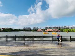 -上海长兴岛郊野公园