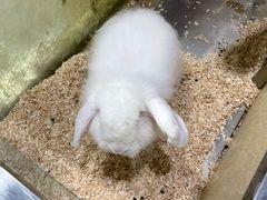 -上海大自然野生昆虫馆