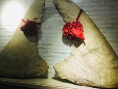 -关东海鲜(自由大路店)