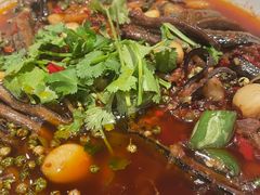 -院8里·小聚园老川菜(九眼桥店)