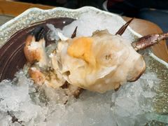 雪蟹-亚马逊蒸汽活海鲜自助(LCM置汇旭辉广场店)