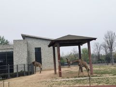 -石家庄市动物园