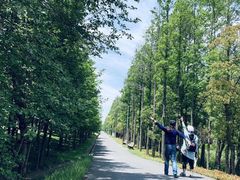 -上海长兴岛郊野公园