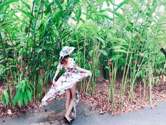 -热带雨林自然公园