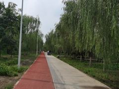 -绿堤公园