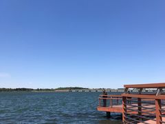 -丁香湖公园