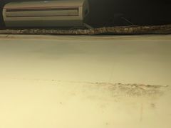 -忆口香龙虾(珠海夏湾老店)