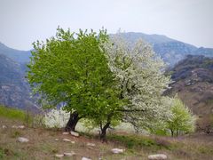 -大平台龙居瀑布旅游区
