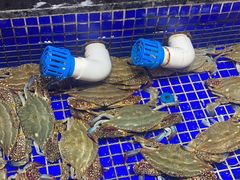 -高佳庄·舟山海鲜(海景旗舰店)