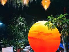 -扬之阿李菌汤火锅(1969店)