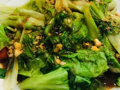 蚝油生菜-黑皮酸菜鱼(三山街店)