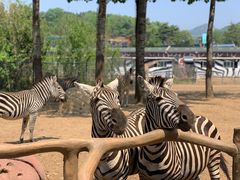 -大连森林动物园