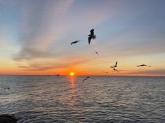 -老虎石海上公园