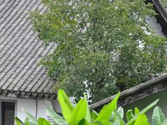 -无锡梅园公园