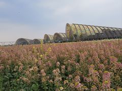 -中国天府农业博览园