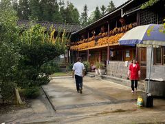 -腾冲国萍农家乐