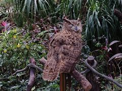 -广州长隆飞鸟乐园