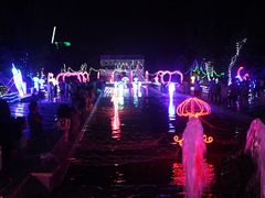 -洛阳郁金香牡丹园