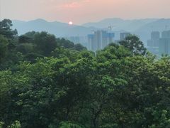 -羚羊峡古栈道森林公园