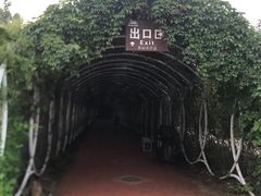 -渔岛海洋度假区