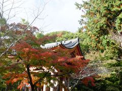 -醍醐寺