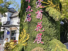 -汇龙潭