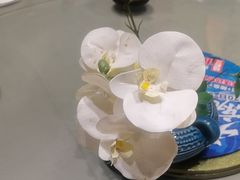 -鲜得莱渔港·小平岛海胆馆(七贤岭店)
