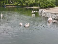 -哈尔滨北方森林动物园