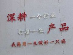 -食鸡公社辣子鸡·潍坊菜·烧烤