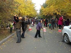 android_upload_pic-辽宁大学(崇山校区)