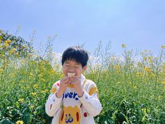 -光明小镇欢乐田园