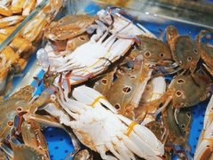 -加餐海鲜自助(宝龙一城店)