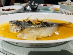 -金美华轩(东方路齐鲁店)