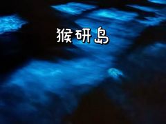 -坛南湾阿强农家乐.海鲜大排档老字号(福州地标美食店)
