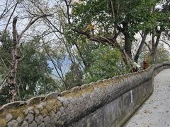 -子昂故里文化旅游区