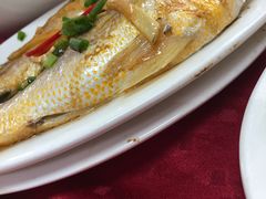 -蛇口康乐快餐鱼仔档(翠苑小区店)