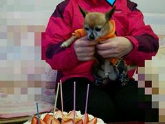 -味多美蛋糕(看丹桥店)