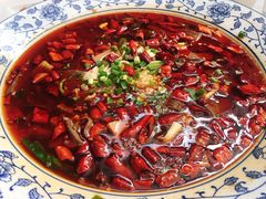 -院8里·少城记忆老川菜(宽窄巷子店)