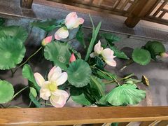 -紫腾大院·南京菜(江宁店)