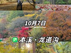 -龙道沟景区