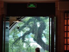 -广东胜利宾馆西关粤中餐厅