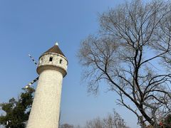 -东平国家森林公园