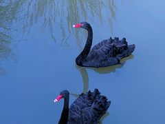 -径山花海